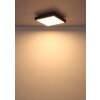 Illuminazione Globo Lighting Doro Plafoniera LED Grigio, Argento, 1-Luce