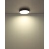 Illuminazione Globo Lighting Doro Plafoniera LED Grigio, Argento, 1-Luce, Telecomando Illuminazione Globo Lighting Doro Plafoniera LED Grigio, Argento, 1-Luce, Telecomando