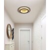 Illuminazione Globo Lighting Jayden Plafoniera LED Oro, Nero, 1-Luce