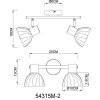 Illuminazione Globo Lighting Zachery Plafoniera Ottone, 2-Luci