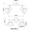 Illuminazione Globo Lighting Zachery Plafoniera Nero, 2-Luci