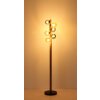 Illuminazione Globo Lighting Riha Lampada da terra Marrone scuro, Nero, 6-Luci
