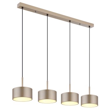 Illuminazione Globo Lighting Raymond Lampadario a sospensione LED Antracite, Nero, 1-Luce