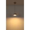 Illuminazione Globo Lighting Raymond Lampadario a sospensione LED Antracite, Nero, 1-Luce