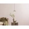 Illuminazione Globo Lighting Raymond Lampadario a sospensione LED Antracite, Nero, 1-Luce