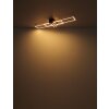 Illuminazione Globo Lighting Dakari Plafoniera LED Écru, Nero, 1-Luce