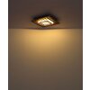 Illuminazione Globo Lighting Woody Plafoniera LED Écru, Nero, 1-Luce