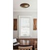 Illuminazione Globo Lighting Woody Plafoniera LED Écru, Nero, 1-Luce