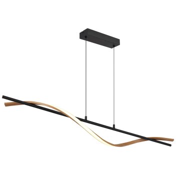 Illuminazione Globo Lighting Watkins Lampadario a sospensione LED Nero, 1-Luce
