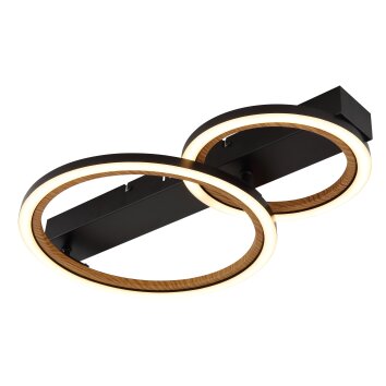 Illuminazione Globo Lighting Dakari Plafoniera LED Nero, 1-Luce