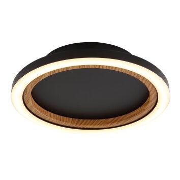 Illuminazione Globo Lighting Dakari Plafoniera LED Nero, 1-Luce