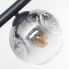 Ripoll Plafoniera, Lampada a sfera Ambrato, Chiaro, Grigio fumo, 8-Luci