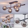 Chehalis Plafoniera, Lampada a sfera Grigio fumo, 5-Luci