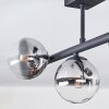 Chehalis Plafoniera, Lampada a sfera Chiaro, Grigio fumo, 5-Luci