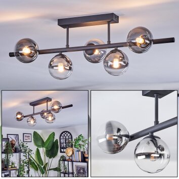 Chehalis Plafoniera, Lampada a sfera Chiaro, Grigio fumo, 5-Luci
