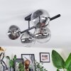 Chehalis Plafoniera, Lampada a sfera Chiaro, Grigio fumo, 5-Luci Chehalis Plafoniera, Lampada a sfera Chiaro, Grigio fumo, 5-Luci