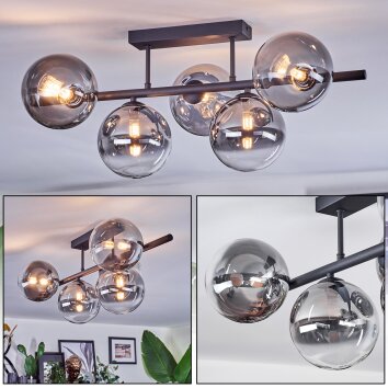 Chehalis Plafoniera, Lampada a sfera Chiaro, Grigio fumo, 5-Luci