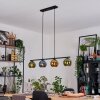 Koyoto Lampadario a sospensione, Lampada a sfera, Lampada a sospensione Blu, Oro, Verde, 4-Luci
