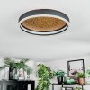 Guine Plafoniera LED Oro, Nero, 1-Luce