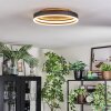 Guine Plafoniera LED Oro, Nero, 1-Luce