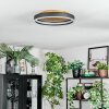 Guine Plafoniera LED Oro, Nero, 1-Luce