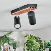 Orlan Plafoniera, Faretto da soffitto Cromo, Écru, Nero, 2-Luci