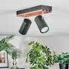 Orlan Plafoniera, Faretto da soffitto Cromo, Écru, Nero, 2-Luci