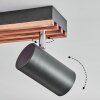 Orlan Plafoniera, Faretto da soffitto Cromo, Écru, Nero, 2-Luci