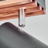 Orlan Plafoniera, Faretto da soffitto Cromo, Écru, Nero, 2-Luci