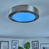 Omaro Plafoniera, Panel LED Nichel opaco, 1-Luce, Cambia colore