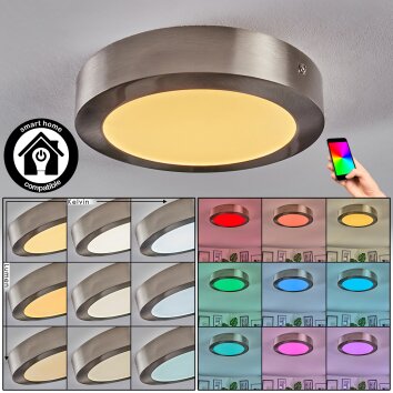 Omaro Plafoniera, Panel LED Nichel opaco, 1-Luce, Cambia colore