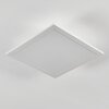 Omaro Plafoniera, Panel LED Bianco, 1-Luce, Cambia colore