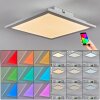 Omaro Plafoniera, Panel LED Bianco, 1-Luce