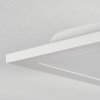Omaro Plafoniera, Panel LED Bianco, 1-Luce