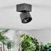 Narel Plafoniera, Faretto da soffitto LED Nero, 1-Luce