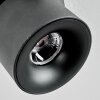 Narel Plafoniera, Faretto da soffitto LED Nero, 1-Luce