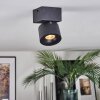 Narel Plafoniera, Faretto da soffitto LED Nero, 1-Luce