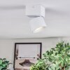 Narel Plafoniera, Faretto da soffitto LED Bianco, 1-Luce