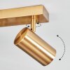 Javel Plafoniera, Faretto da soffitto Oro, 2-Luci