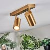 Javel Plafoniera, Faretto da soffitto Oro, 2-Luci