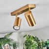 Javel Plafoniera, Faretto da soffitto Oro, 2-Luci