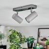 Javel Plafoniera, Faretto da soffitto Cromo, Grigio, 2-Luci