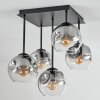 Ripoll Plafoniera, Lampada a sfera Chiaro, Grigio fumo, 5-Luci