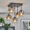 Ripoll Plafoniera, Lampada a sfera Chiaro, Grigio fumo, 5-Luci