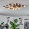 Binor Plafoniera LED Écru, Nero, 1-Luce