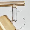 Saire Plafoniera, Faretto da soffitto Cromo, Ottone, 2-Luci