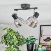 Saire Plafoniera, Faretto da soffitto Cromo, Nero, 2-Luci