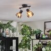 Saire Plafoniera, Faretto da soffitto Cromo, Nero, 2-Luci