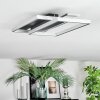 Olian Plafoniera LED Nero, Argento, 1-Luce