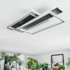 Olian Plafoniera LED Nero, Argento, 1-Luce